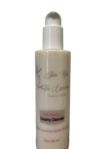Skin Bar ~ The Experience  Creamy Cleanser